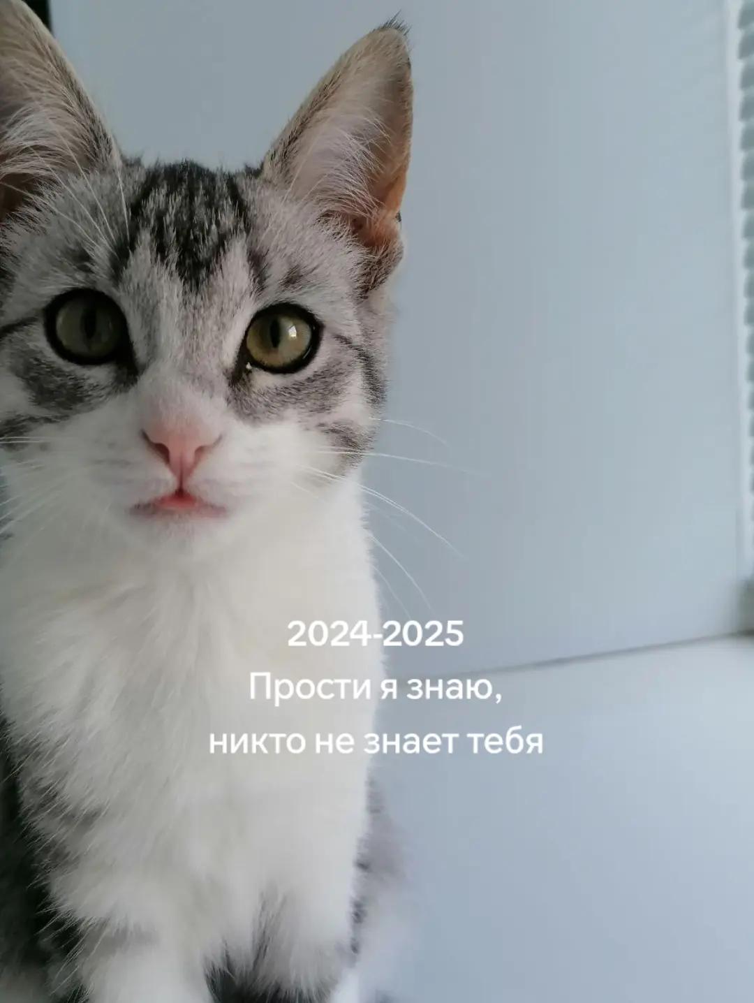 @🩸маньячка🩸