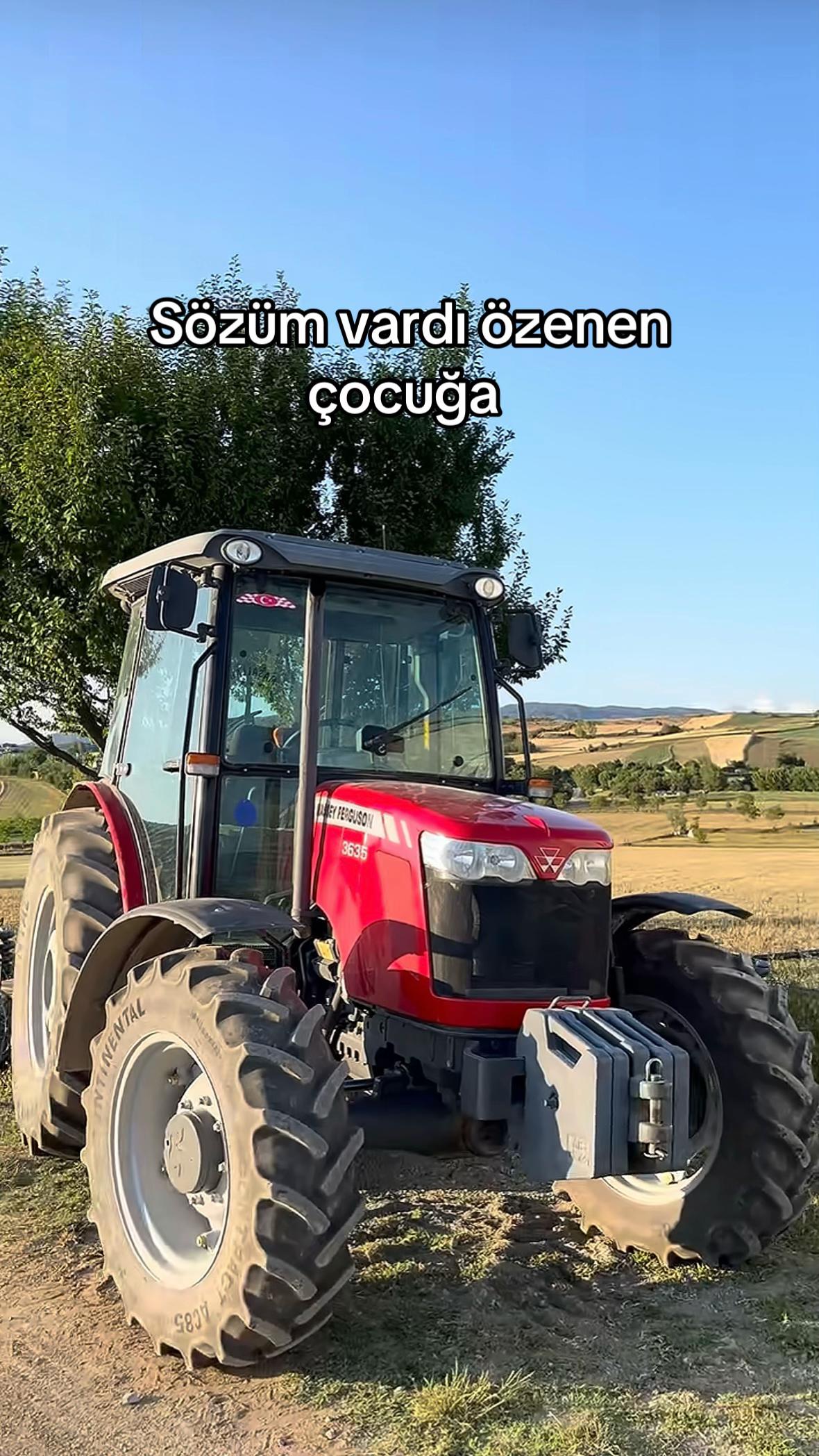 @Yiğit Şenol