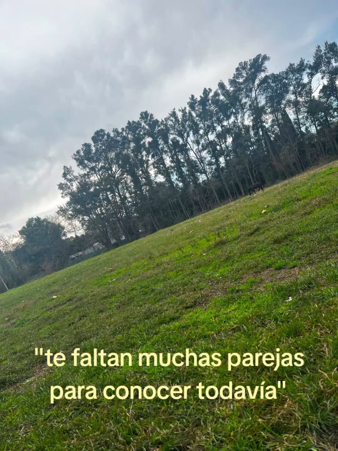 @fan.de.la.maximo67