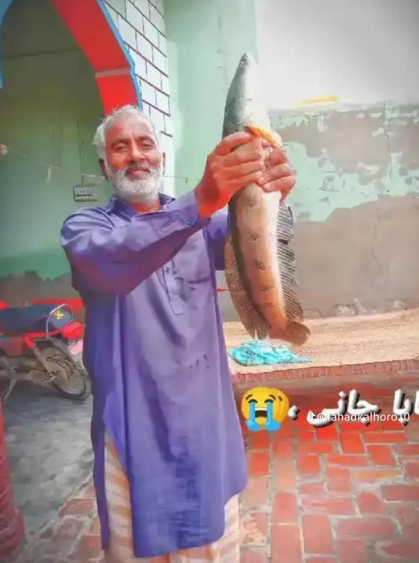 @It's_Me_Foujji🇵🇰