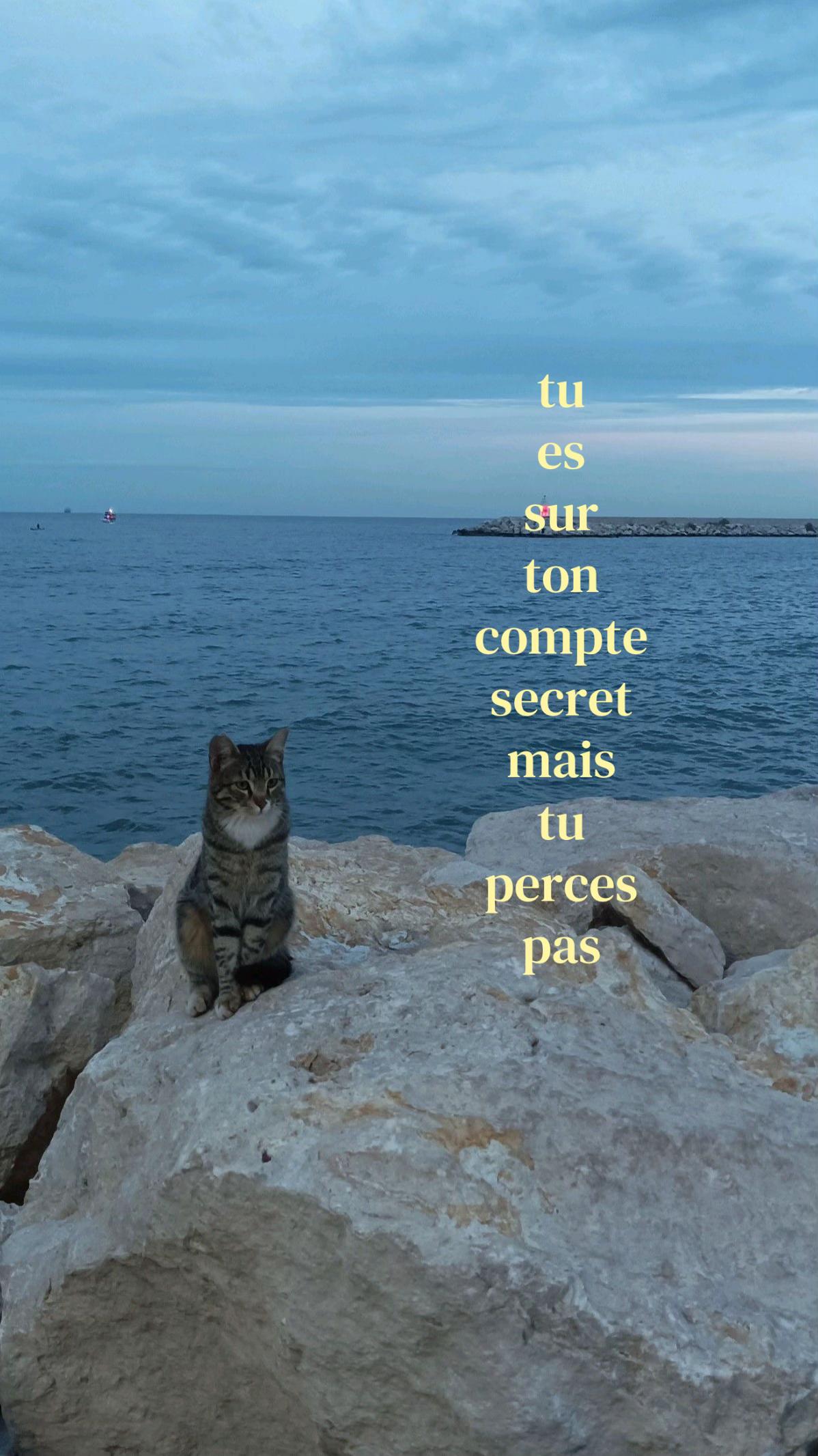 @𝑪ꨄ