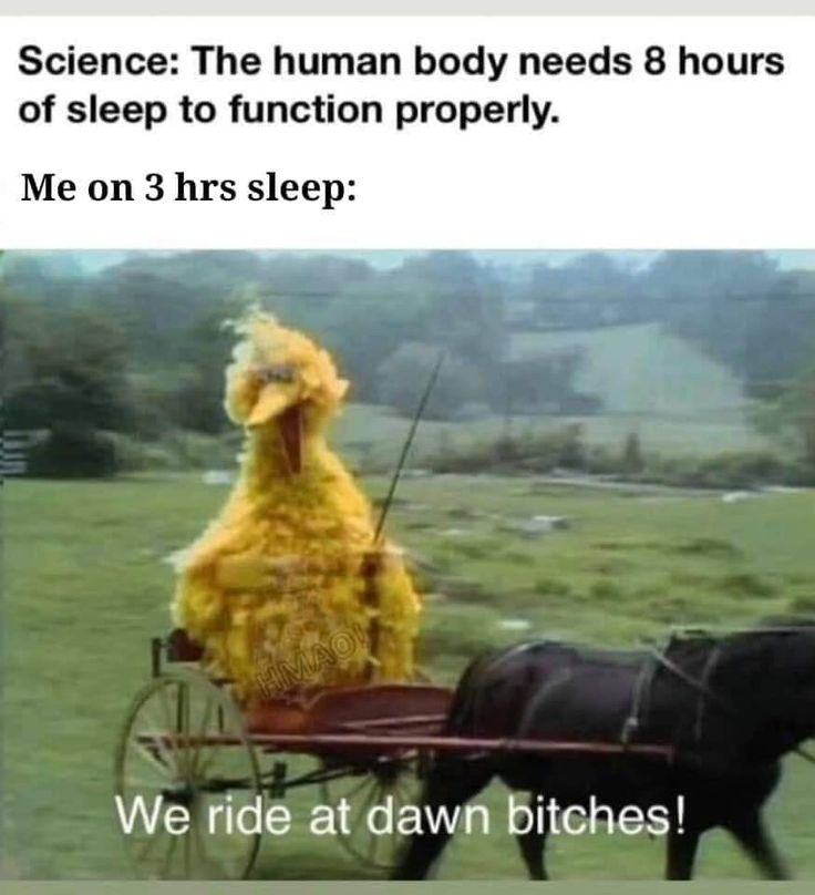 @PrudentHawk