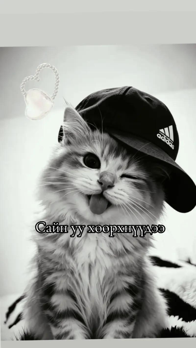 @😝 >Cool_Nomi<😝