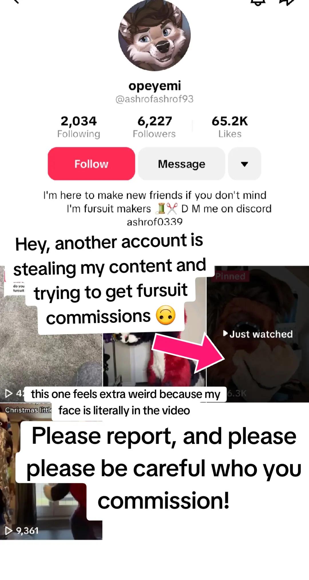 @Maz Made Fursuits