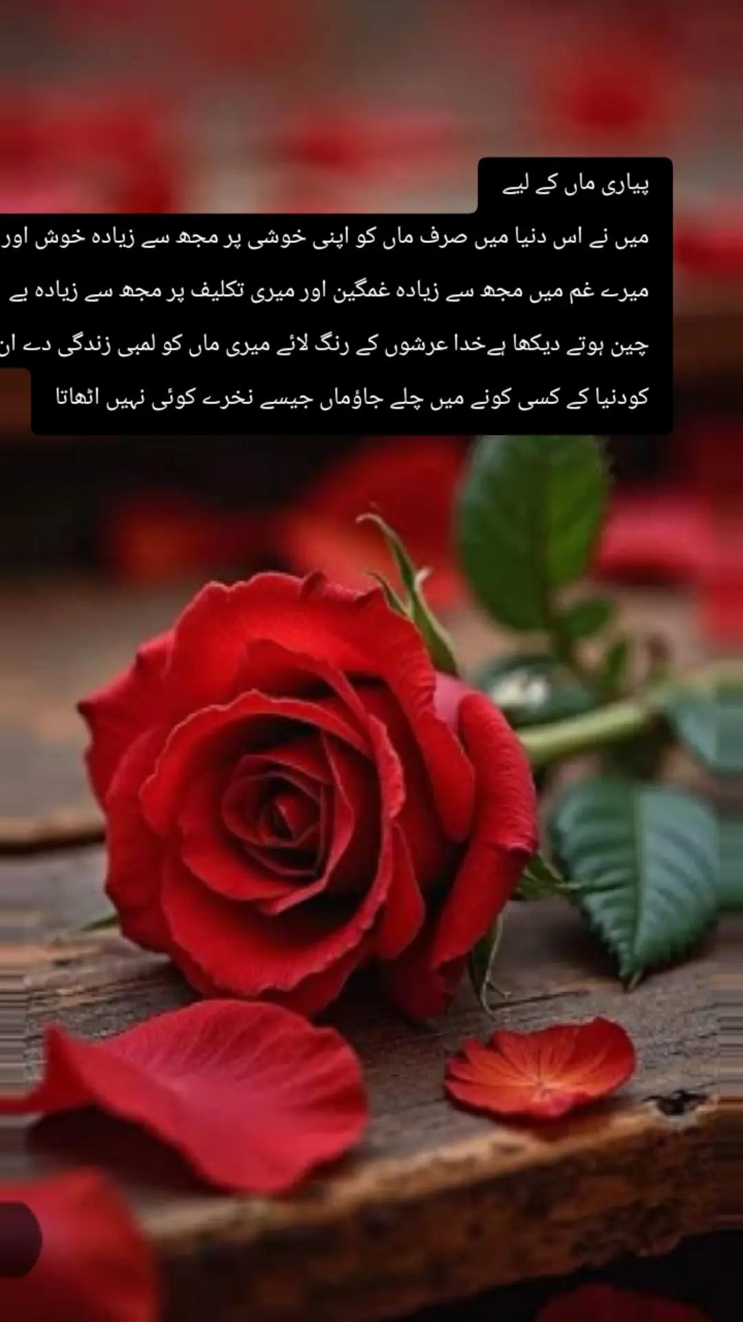 @Ishu Khan