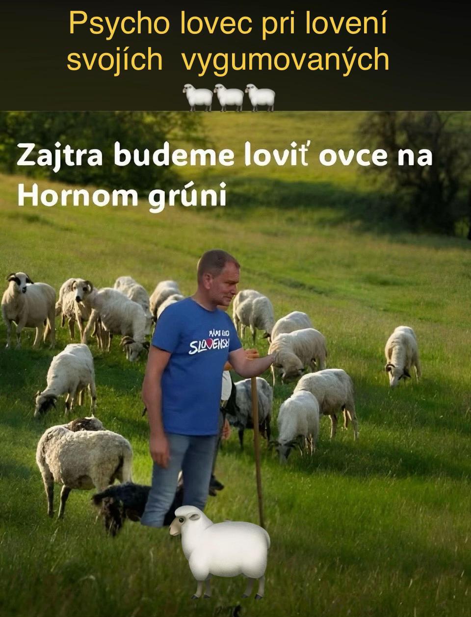 @Milo Pilo1