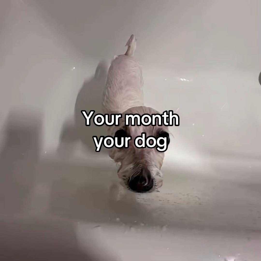 @secretlifeofsomeone