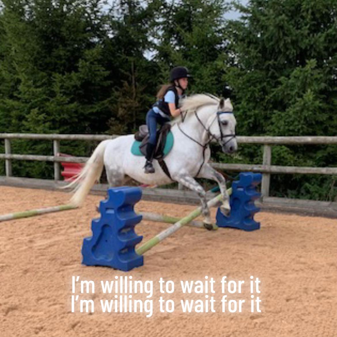 @Joss 🇬🇧🐴