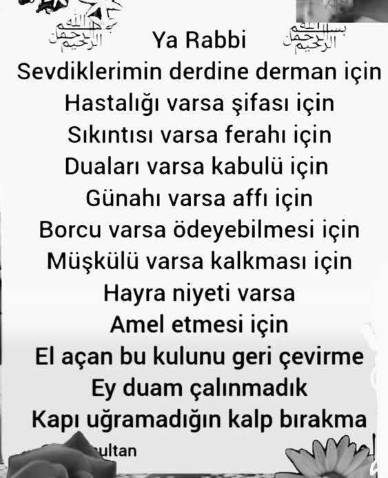 @DÜNYA BURASİ NE ARASAN İÇİNDE