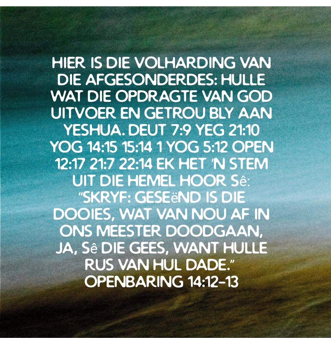 @boerseun91