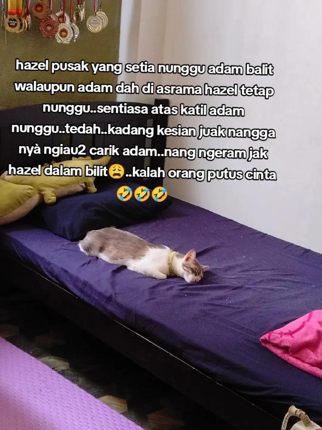 @Scya Sya