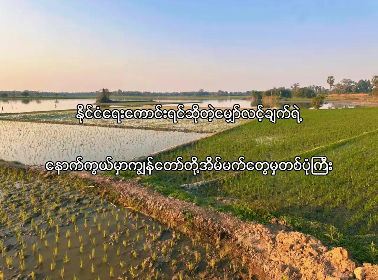 @ငဒူ