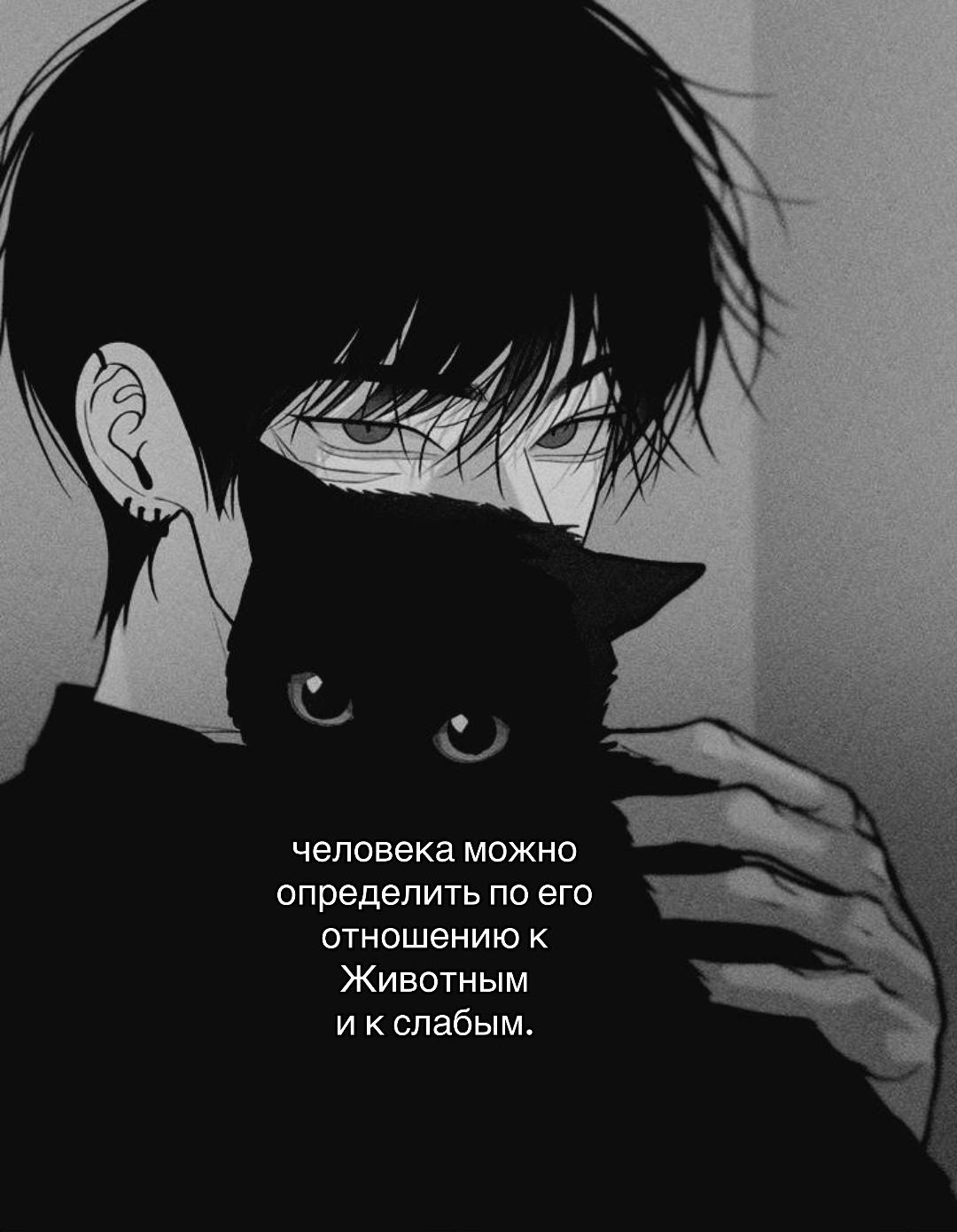 @mok