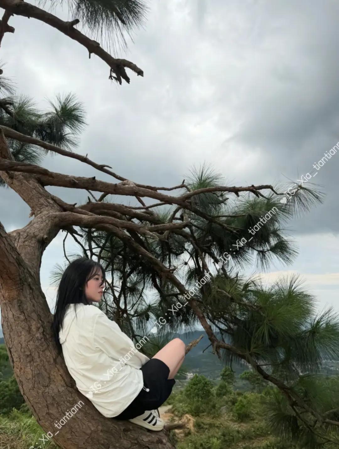 @Xià Tiān
