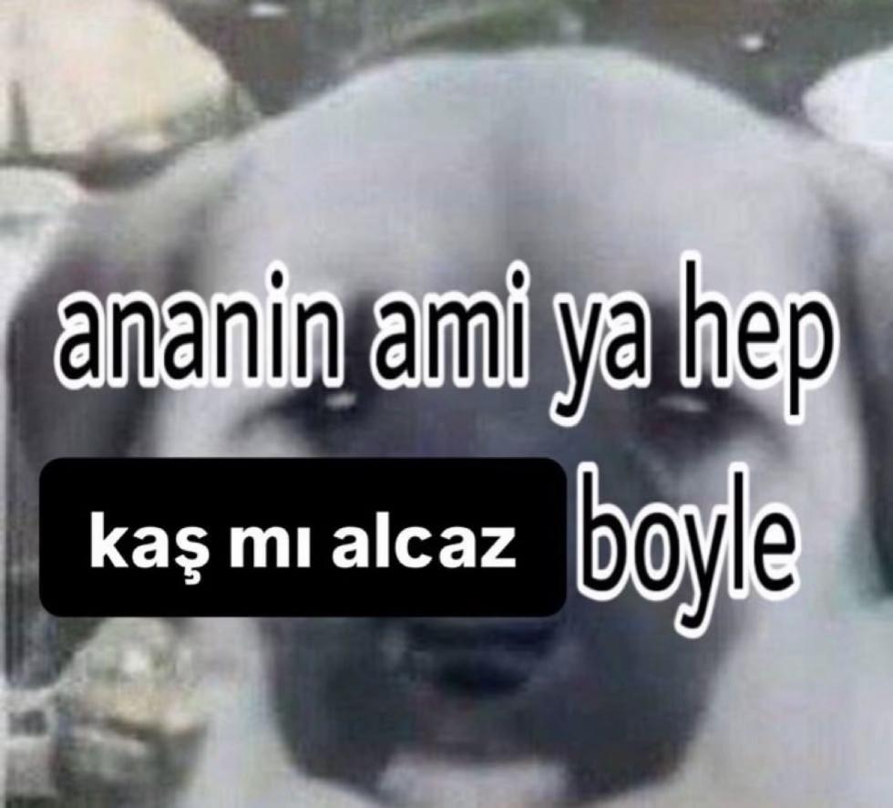 @user333798