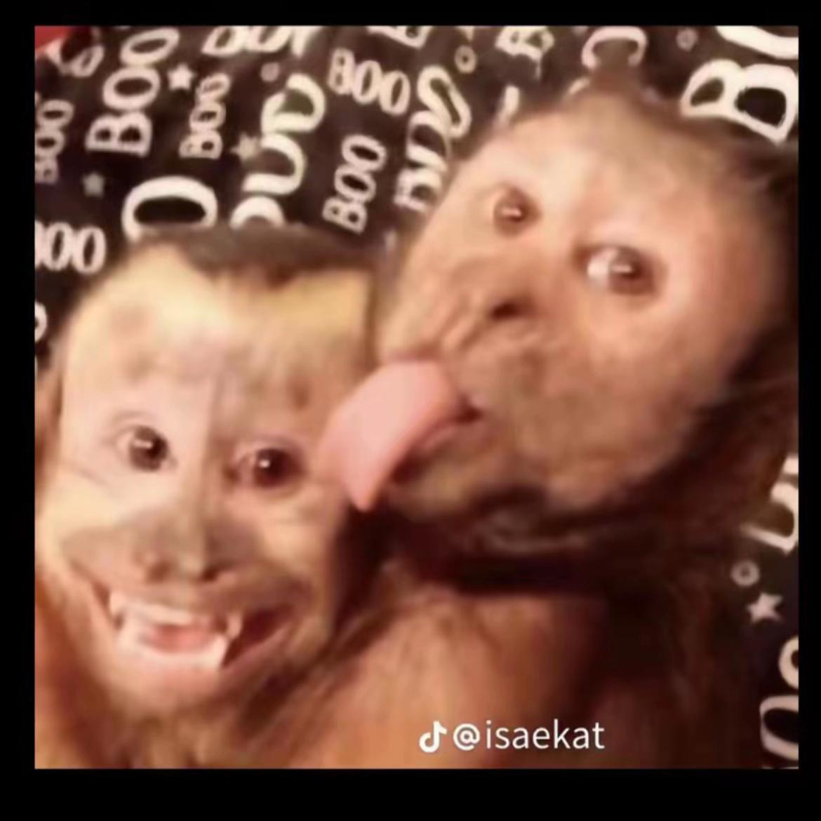 @alinemwndes