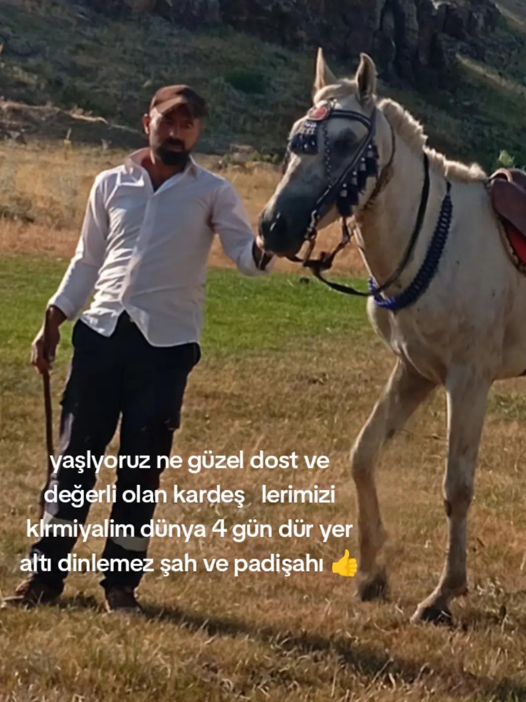 @&ccedil;atlı şaho