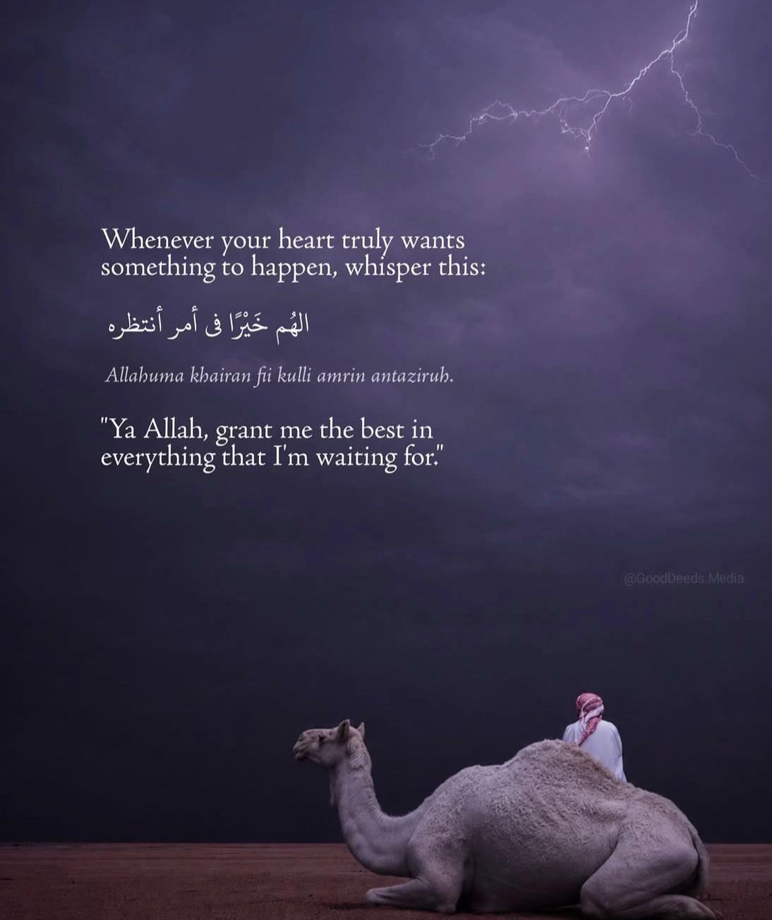 @Jusna Ali