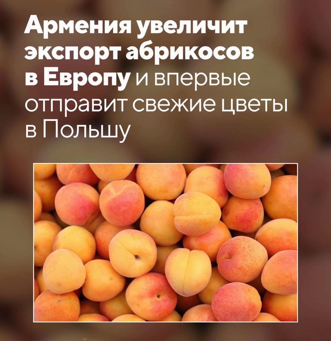 @AMEGA