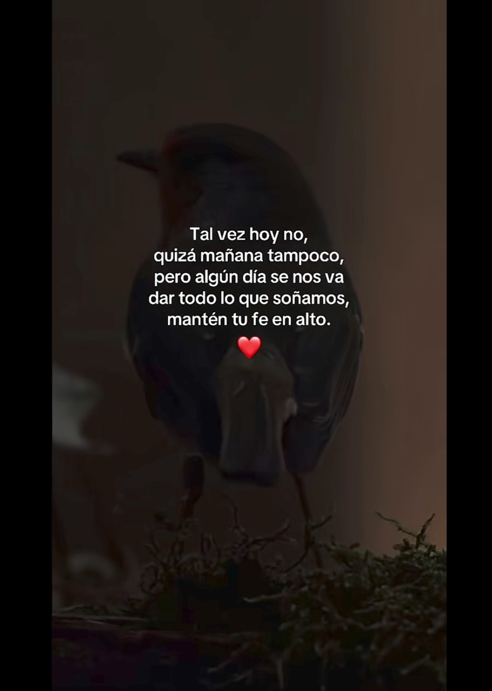 @Marce ๐ง๐บ๐พ๐๐ค