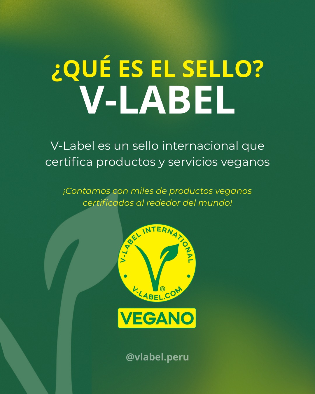 @V-Label Perú