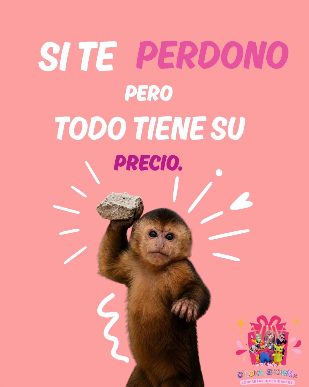 @D’cora_ShowMX