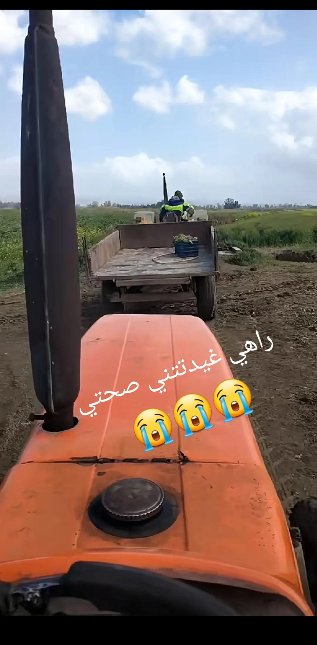 @نور ارتي