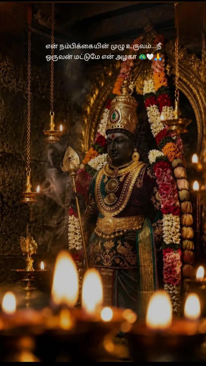 @🌜మెష్నాగా🌛