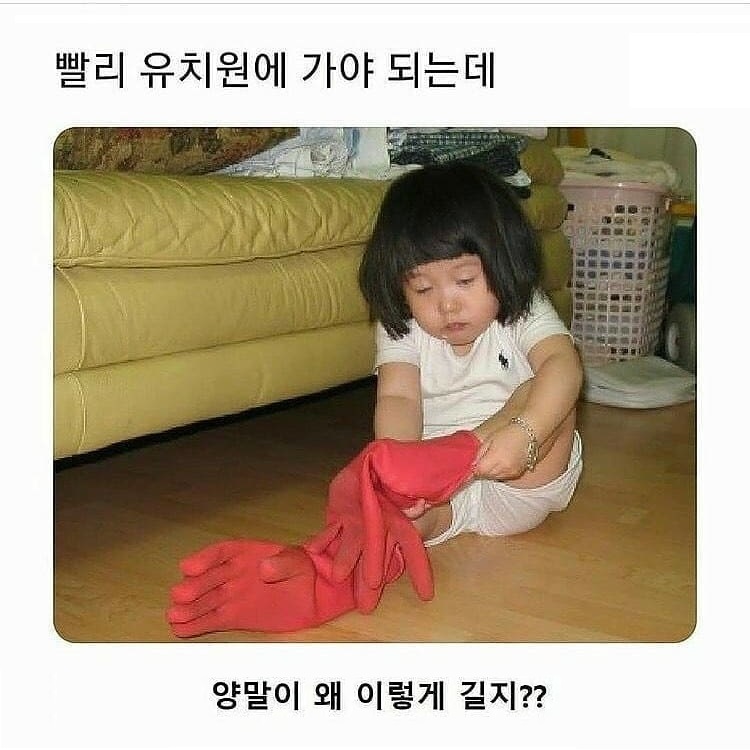 @로이젤