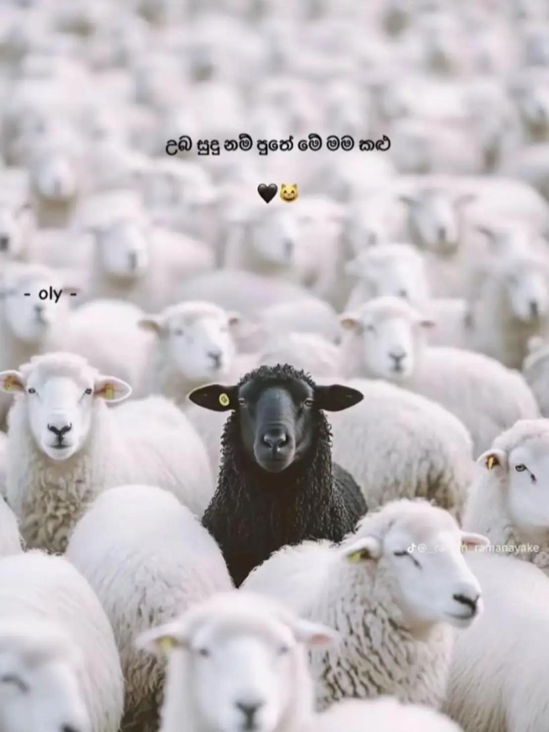 @𝘿𝙀𝘼𝙈𝙀𝙉𝘽𝙊𝙔 ᥫ᭡.🧃✌️