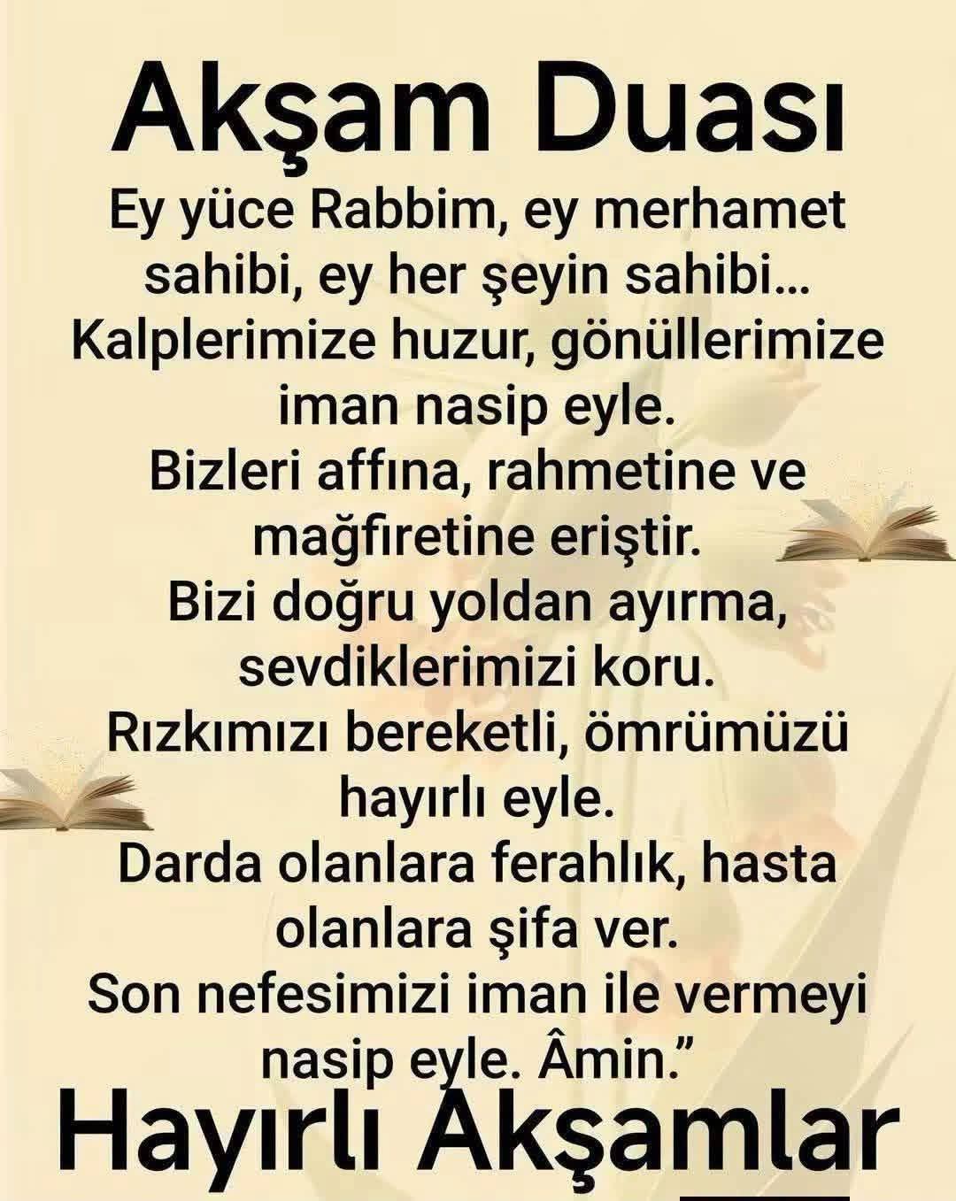 @Raziye Erim