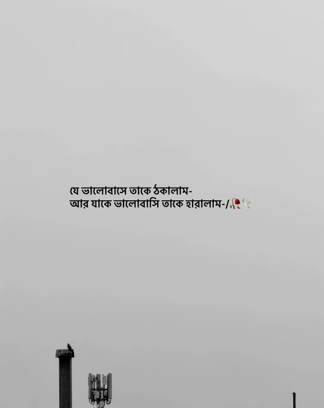 @Mohammad Ullah