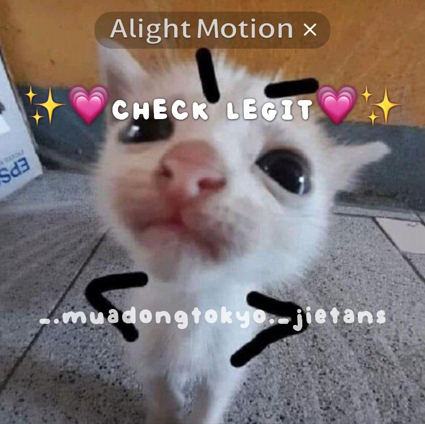 @‧₊ ᵎᵎ 🎧𝗠𝗶𝗻𝘀𝗲𝗼𝗻𝗴🍝⋅ ˚✮