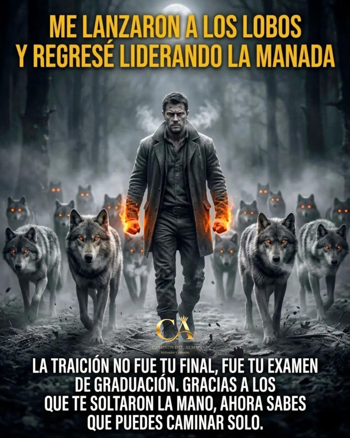 @alfonsogarcia191