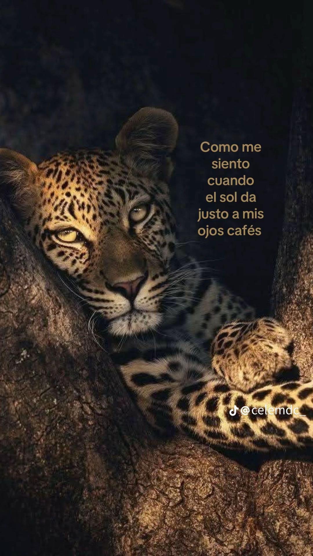 @Andyy 💜