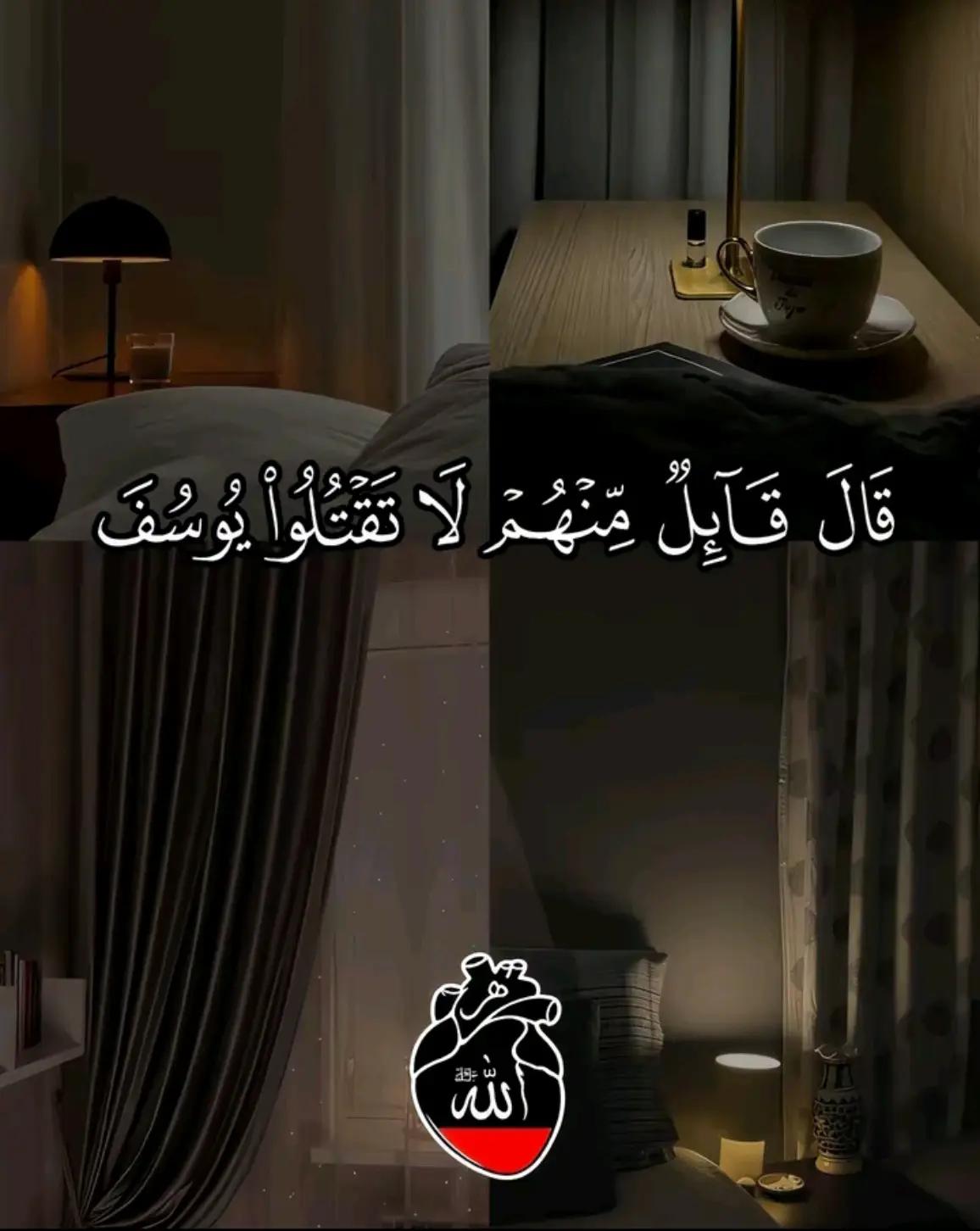 @M Naveed 🫀🌺