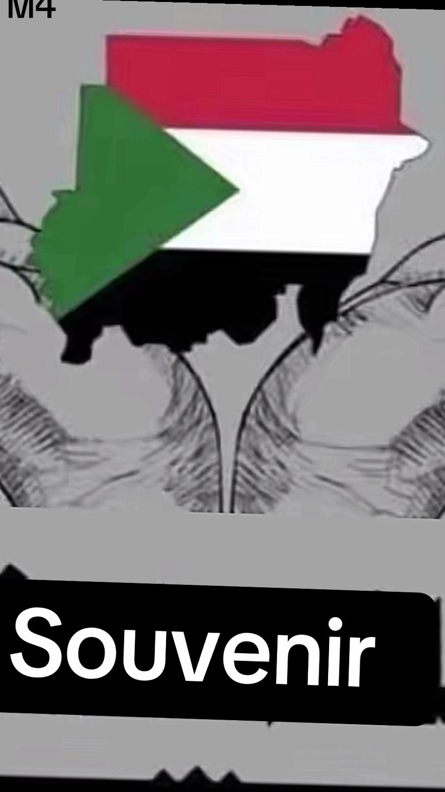@TEO.M4. تيو إم٤