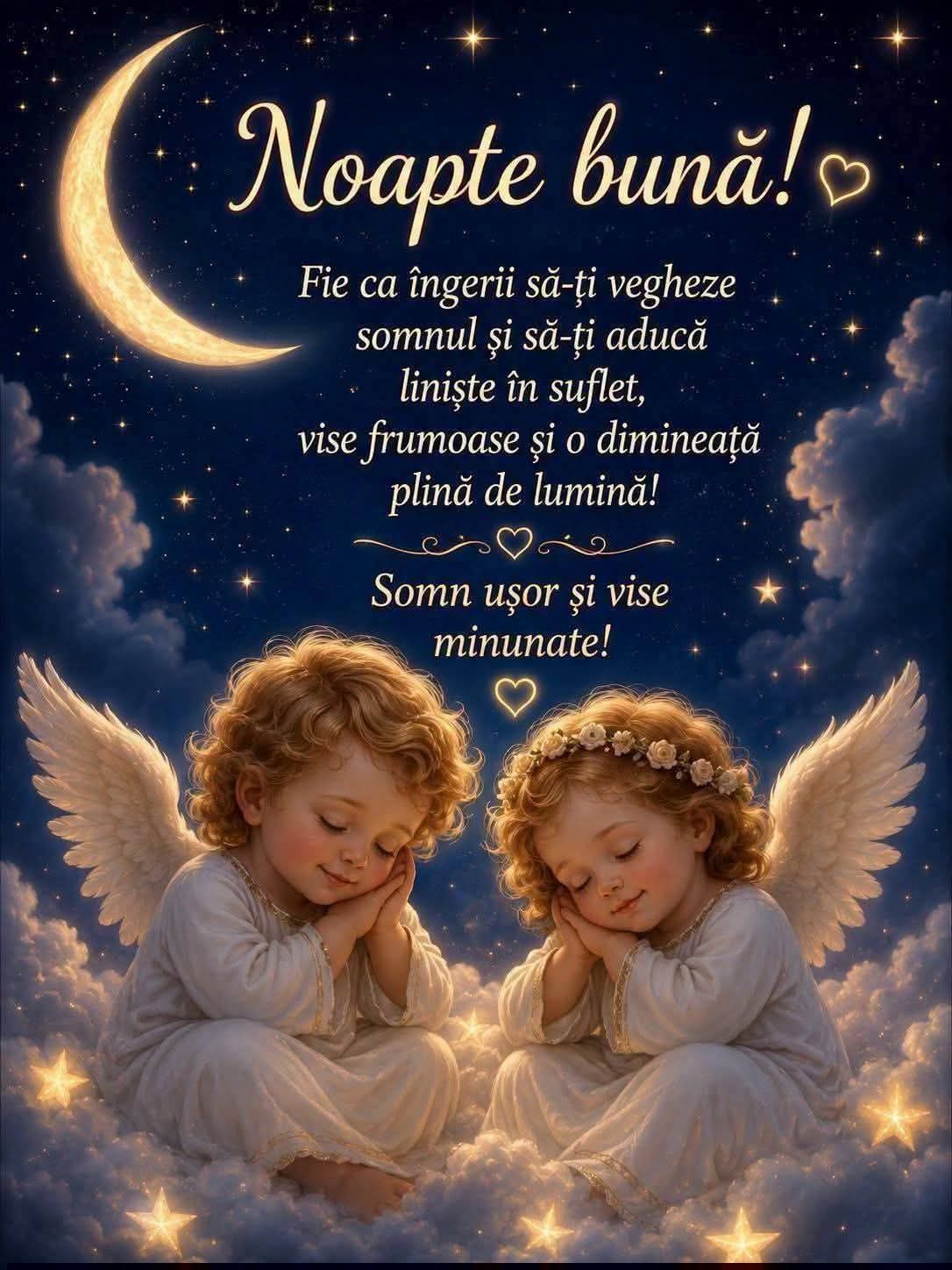 @Mocanu Alina