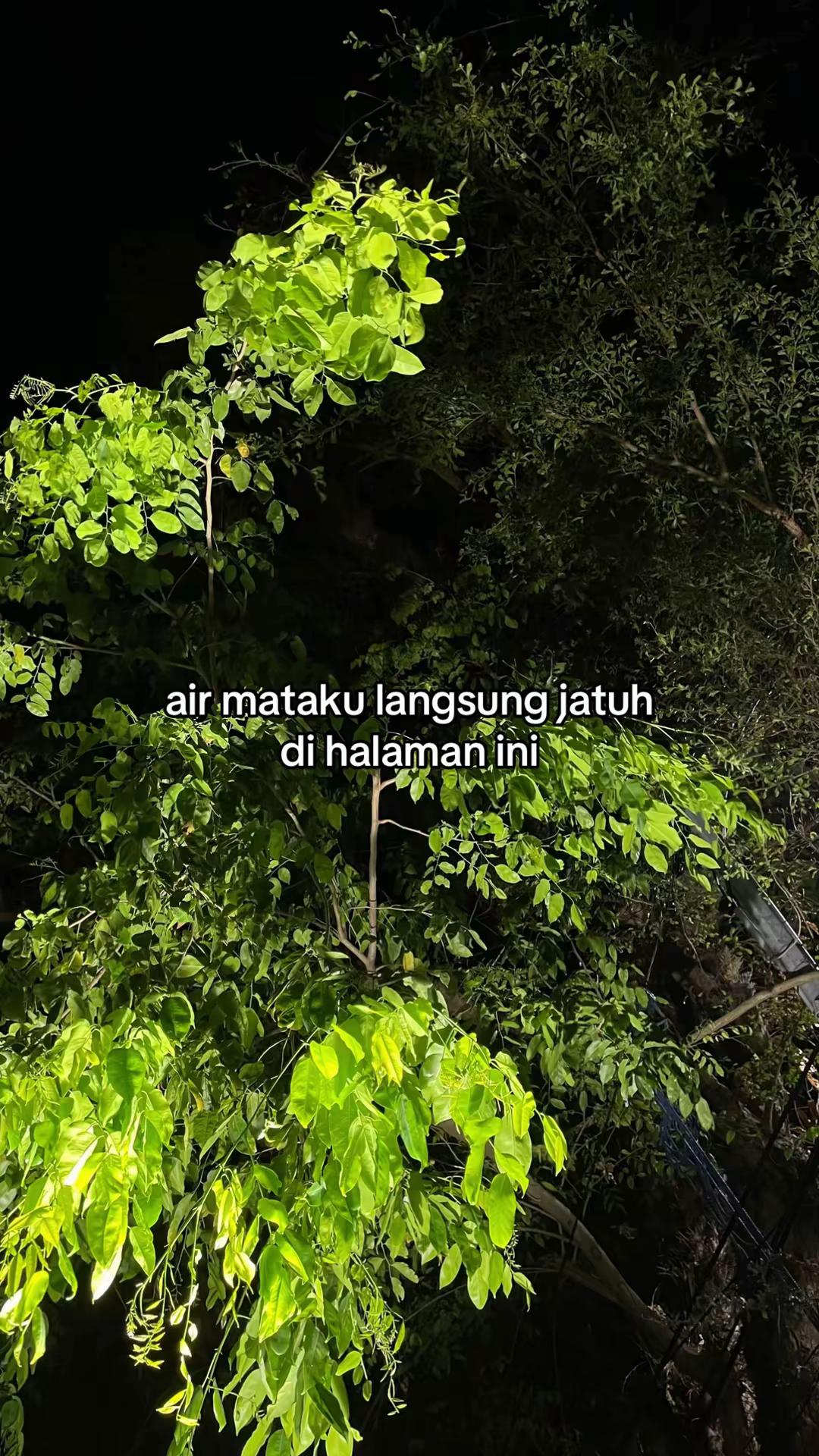 @Umar Nawir