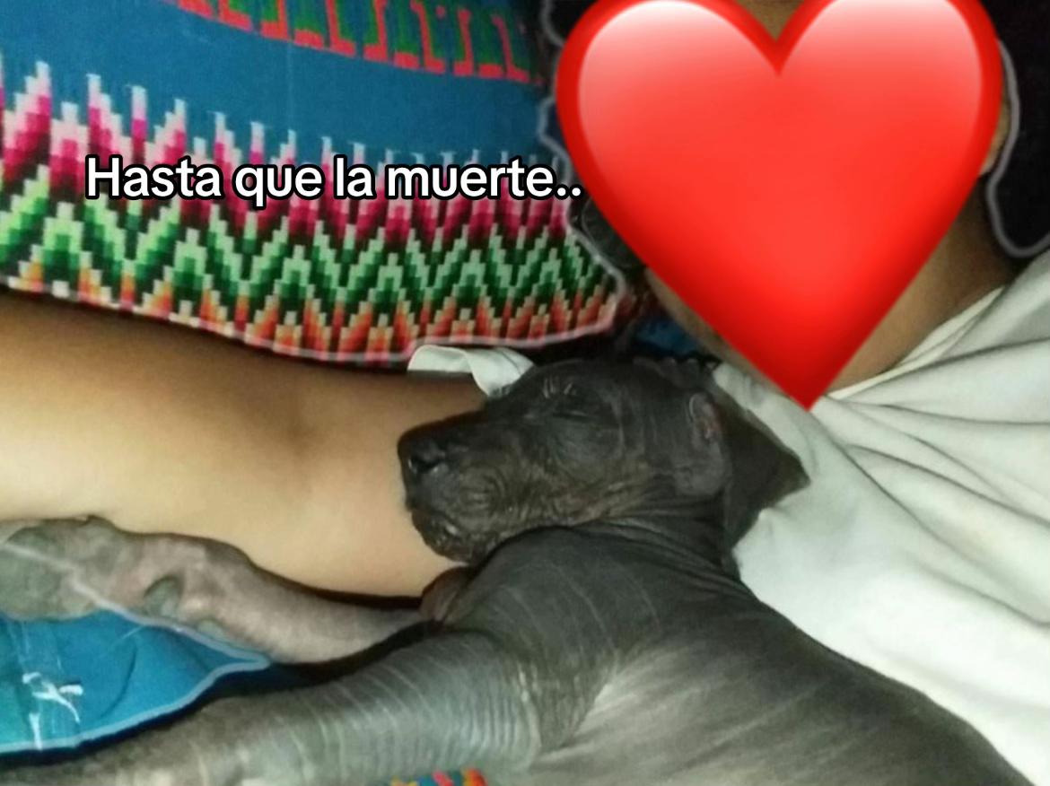 @Pardo