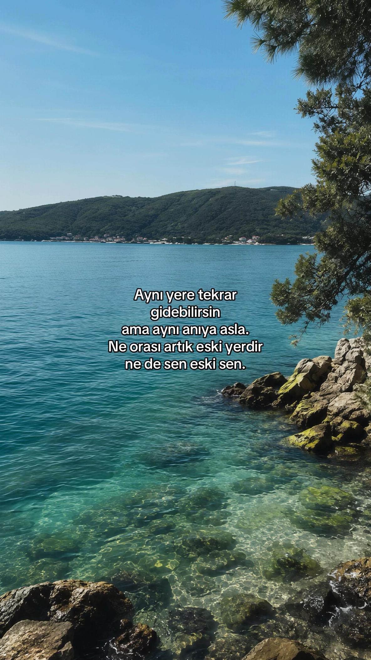@zem