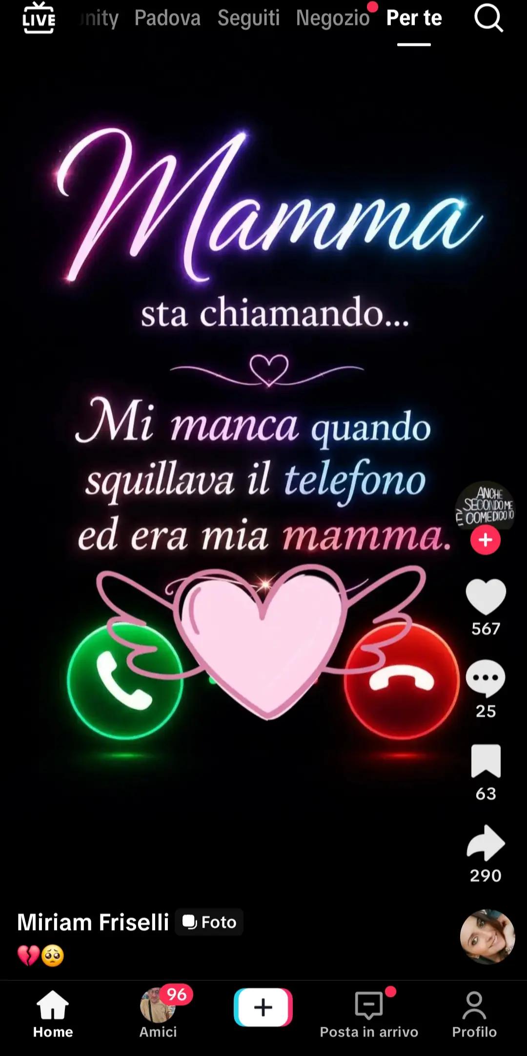 @anna andretta