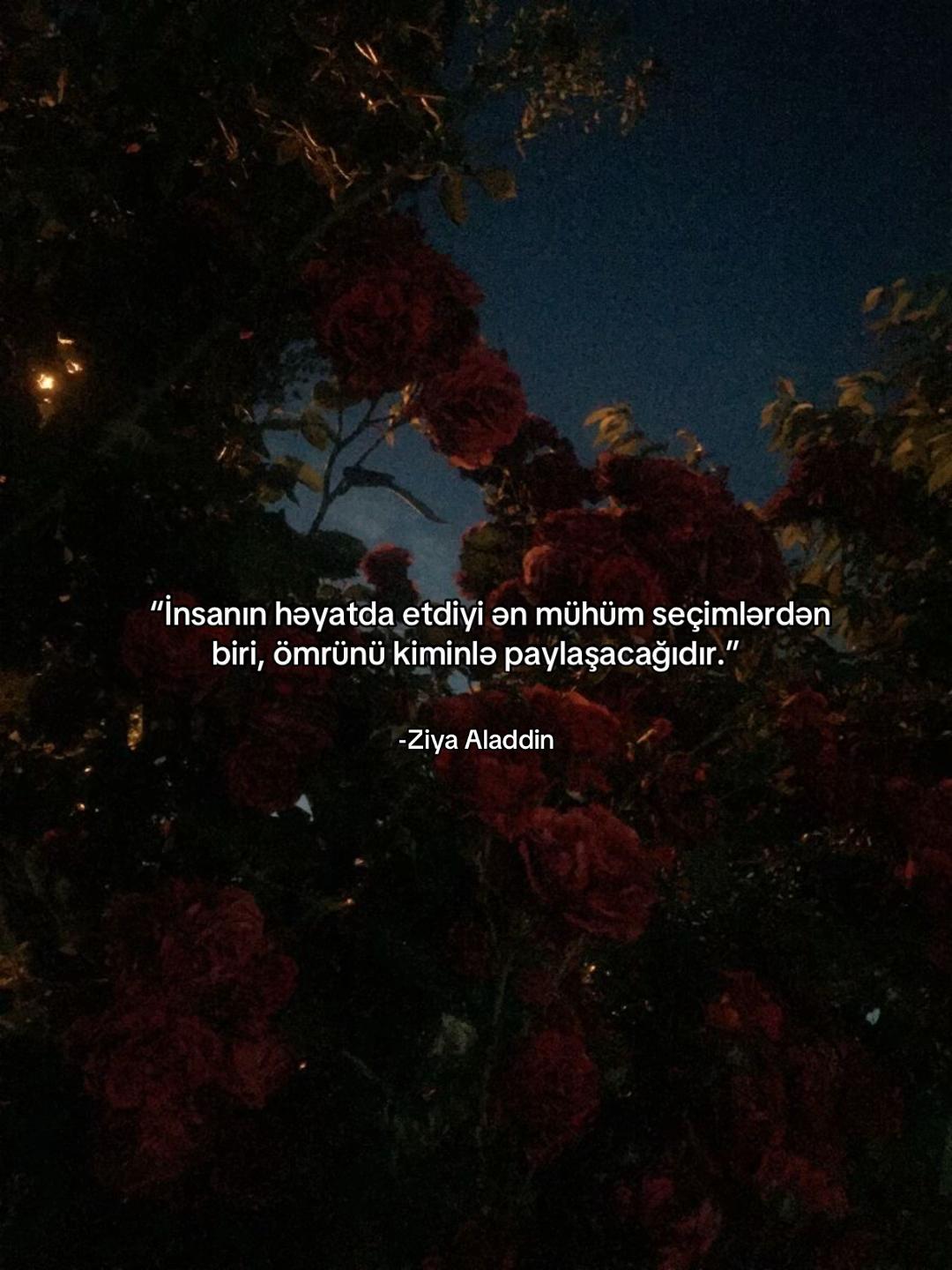 @ziyaaladdin
