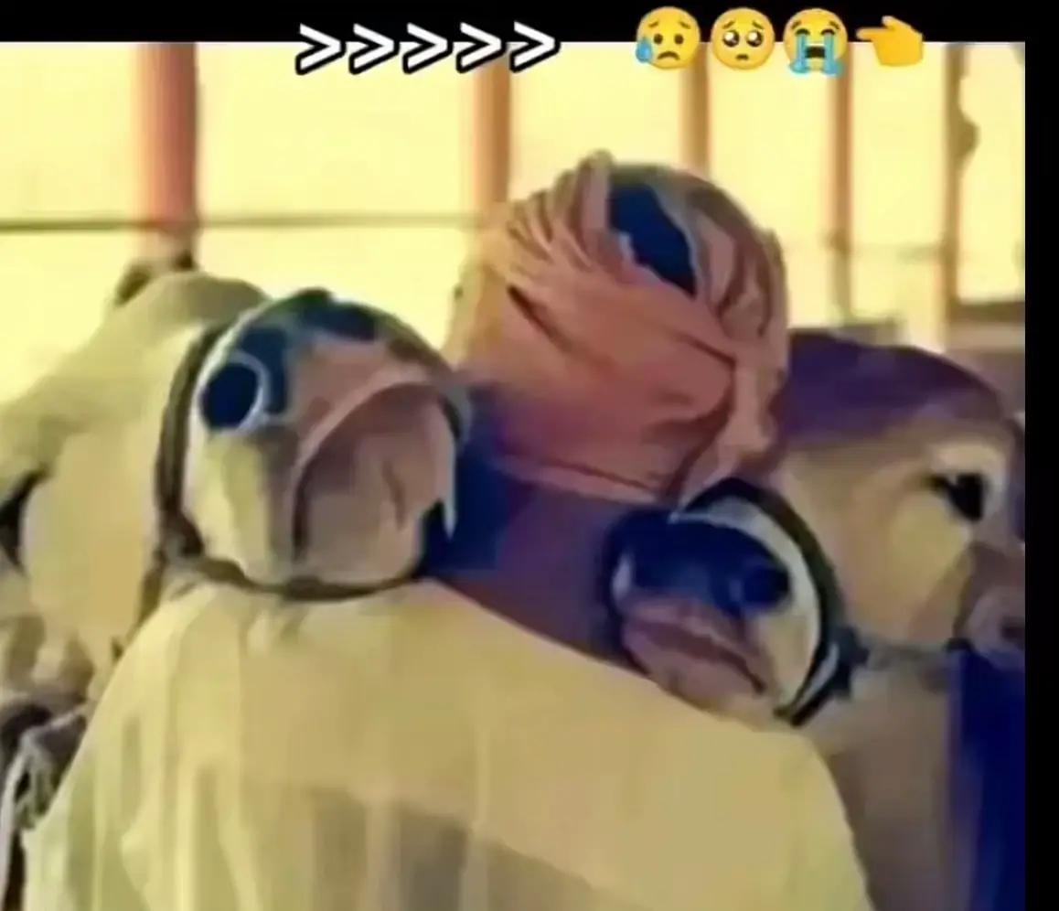 @Pubg