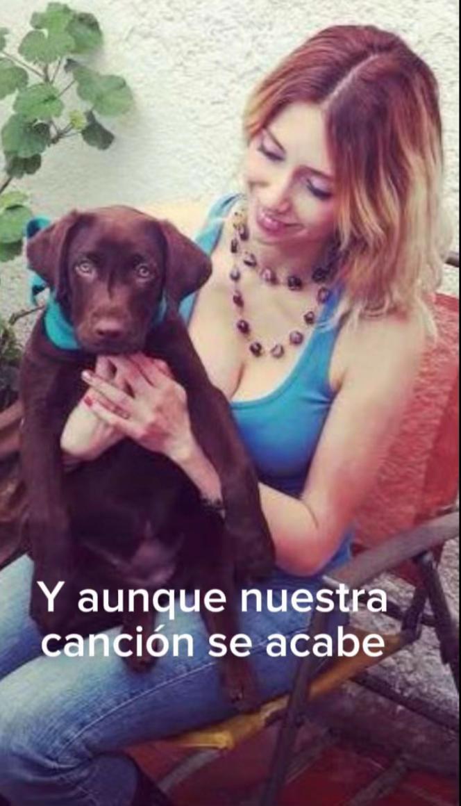 @Ale Toledano
