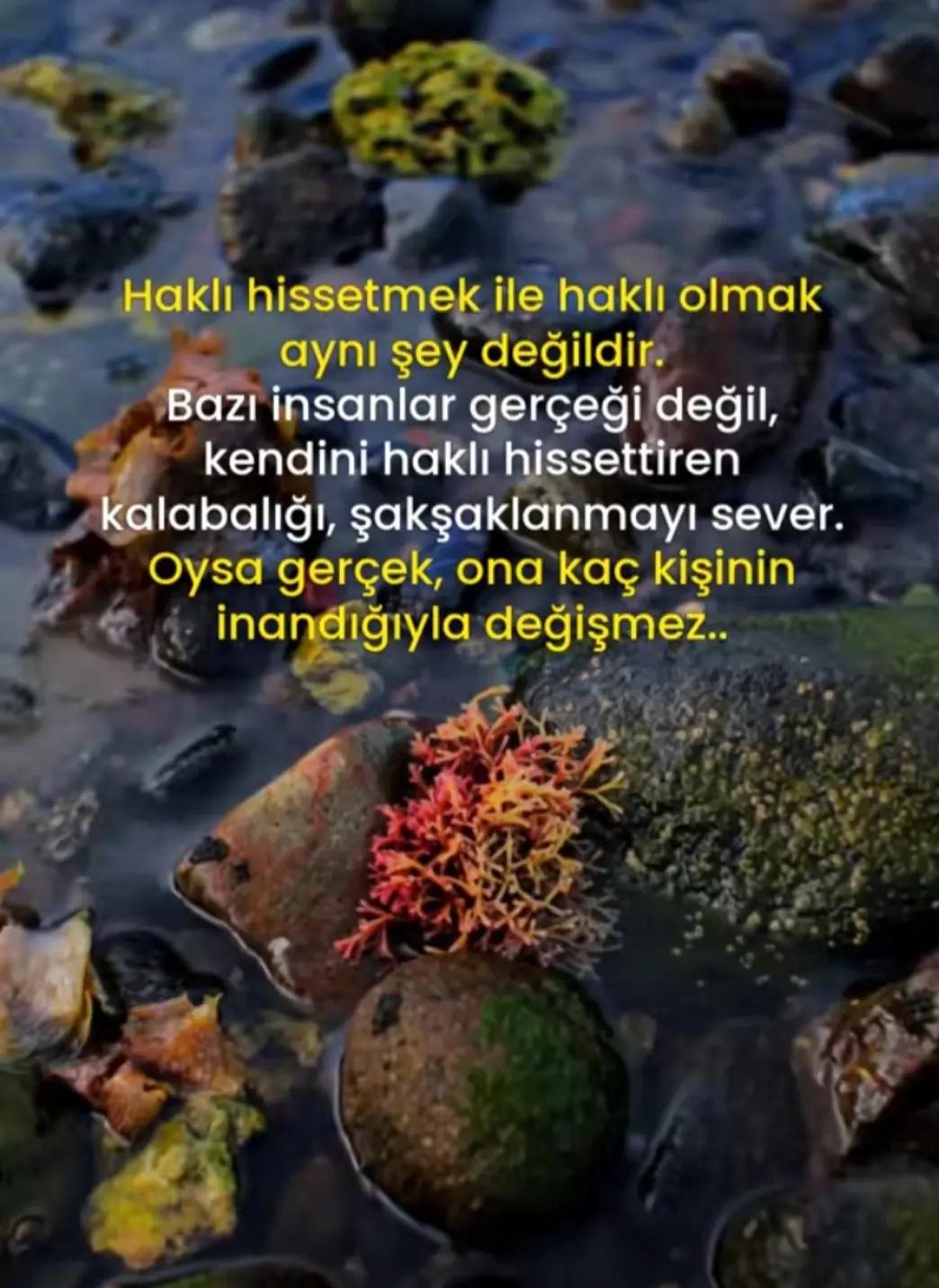 @Fatma Güzelaydın