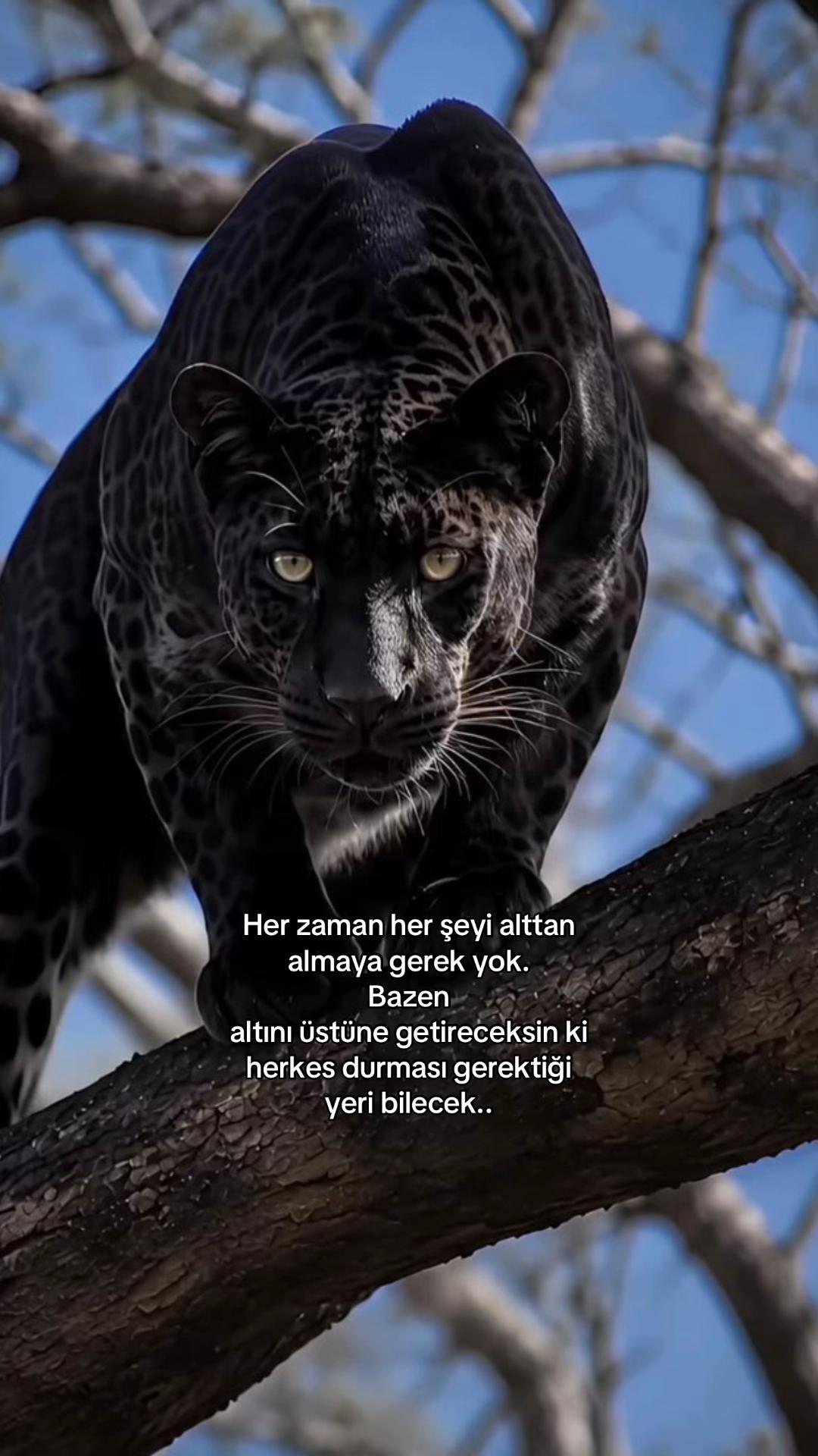 @Atarlı Kadın