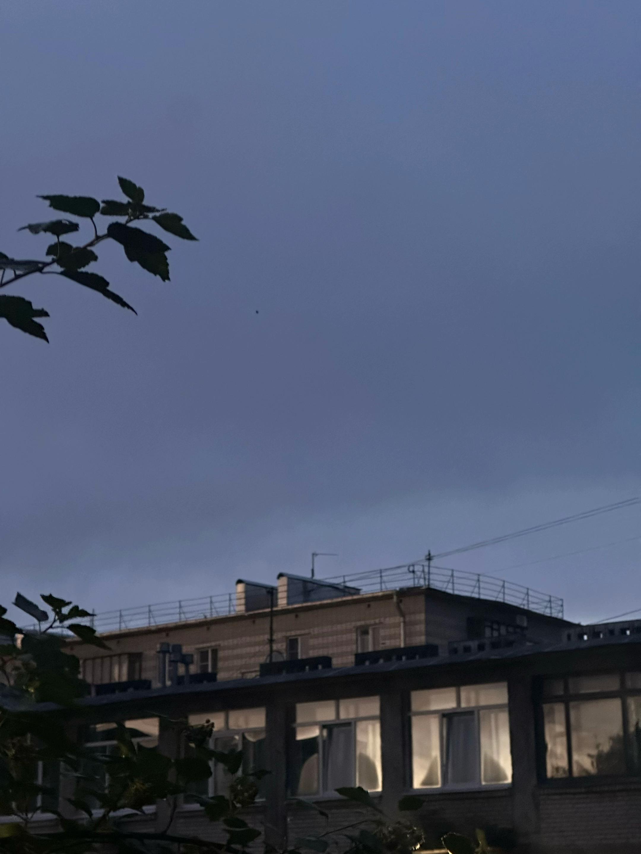 @Nova Prime