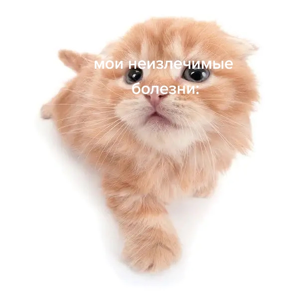 @никитк