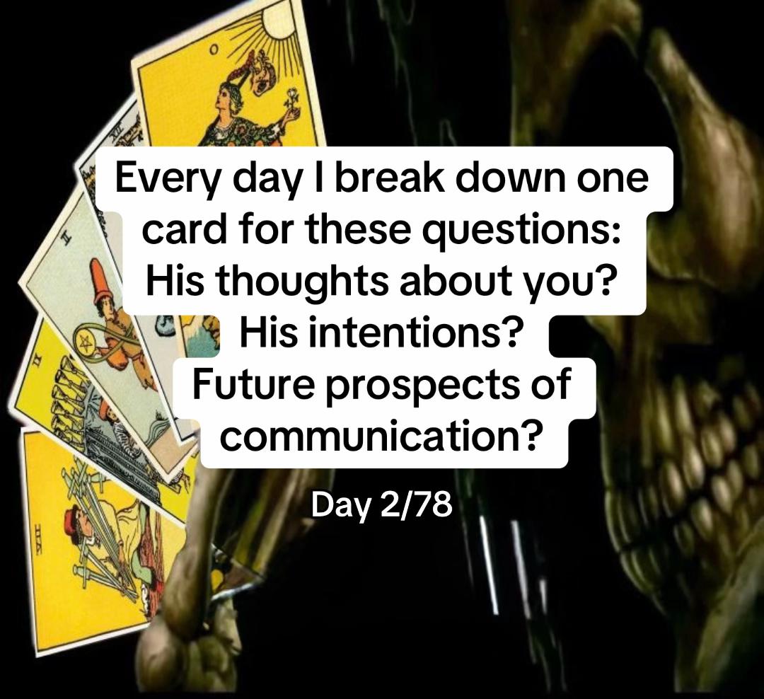 @TAROT|MATRIX DESTINY 🐈⬛🩸